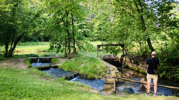 Wandern im grünen München | © Meier Brigitte